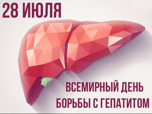 27 июля – 2 августа Неделя профилактики заболеваний печени (в честь Международного дня борьбы с гепатитом 28 июля).